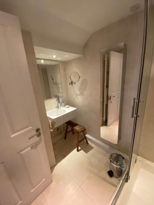 Apartment Spacious And Light West Basement Flat London